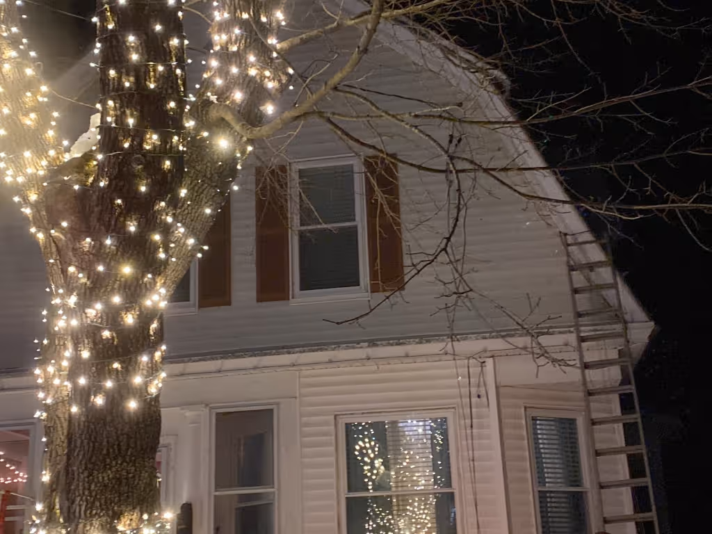 Tree uplit with house behind