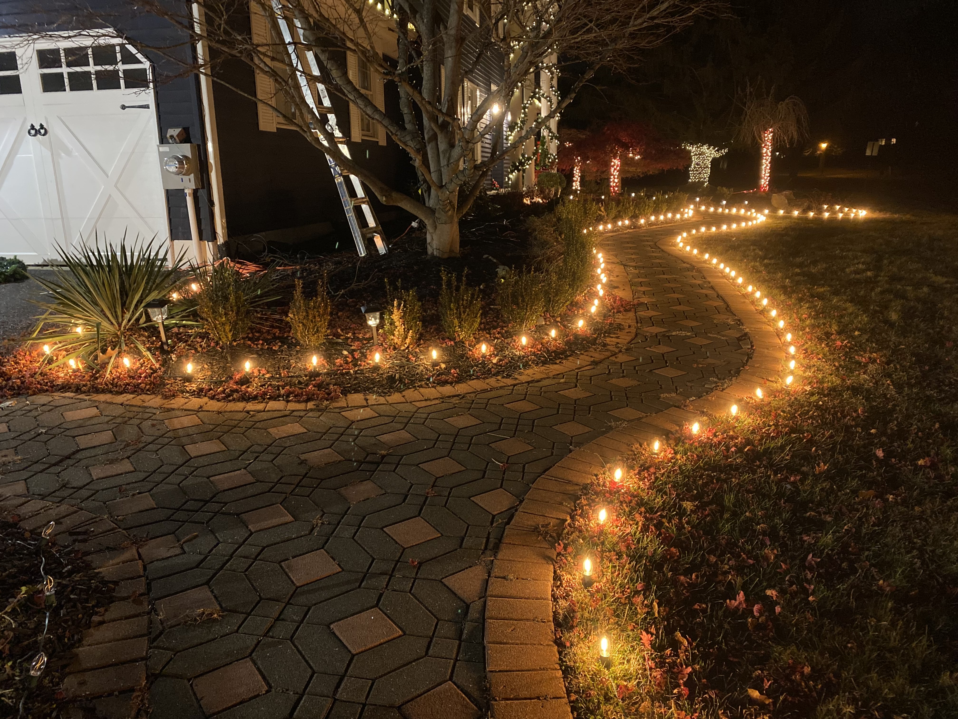 Pathway Magic