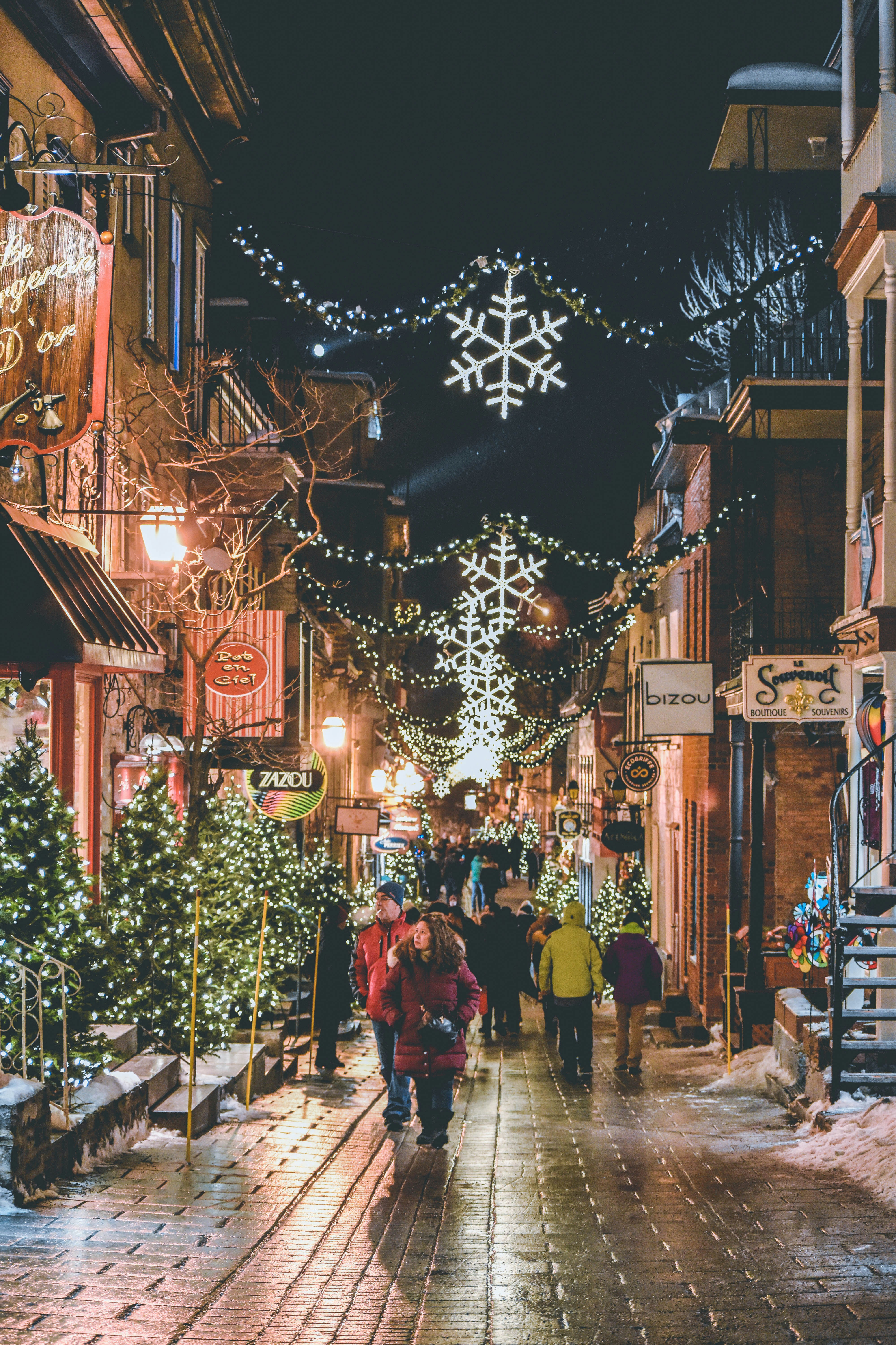 Professional Christmas Light Installation